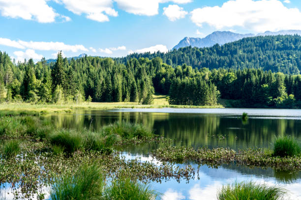 istock idyllic little blue mountain lake with reflections 1214516691