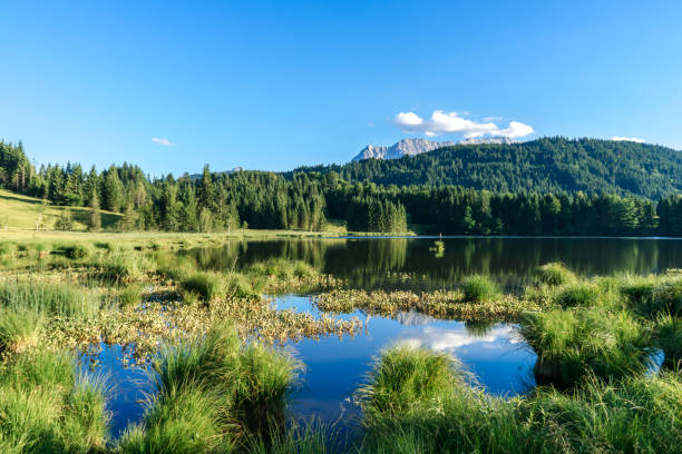 istock view on a mountain lake huts in the afternoon sun 1214516927
