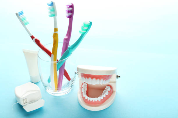istock Teeth model with toothbrushes and dental thread on blue background 1214517138