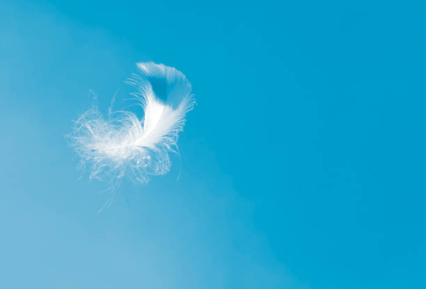 istock Soft single white feather floating in the air 1214520093