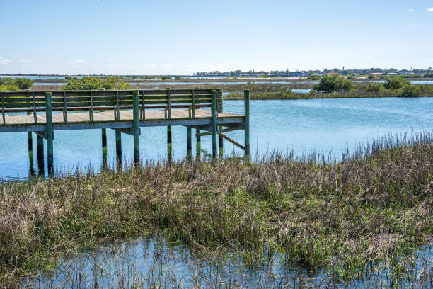 istock Wooden boardwalk and safety ropes 1214520502