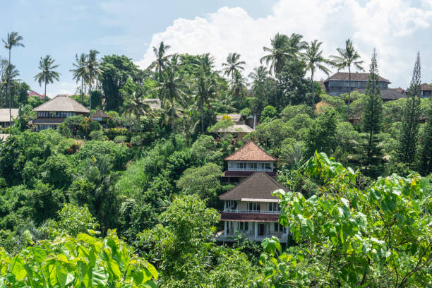 istock Bali, Ubud City and Nature 1214522121