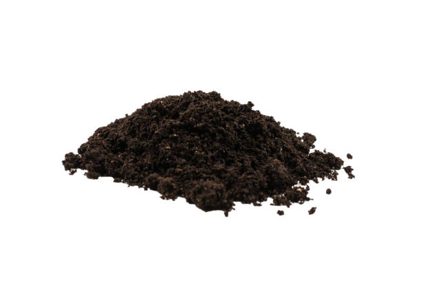 istock A handful of earth isolated on white background. 1214522280