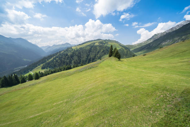 istock Idyllic summer landscape in the Alps 1214524275
