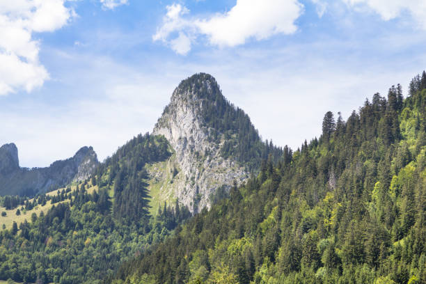 istock Idyllic landscape in the Alps 1214528020