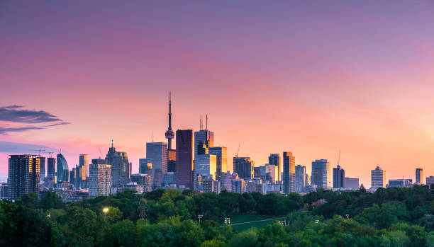 Toronto city night view from Riverdale Avenue. Ontario, Canada Toronto city view from Riverdale Avenue. Ontario, Canada toronto photos stock pictures, royalty-free photos & images