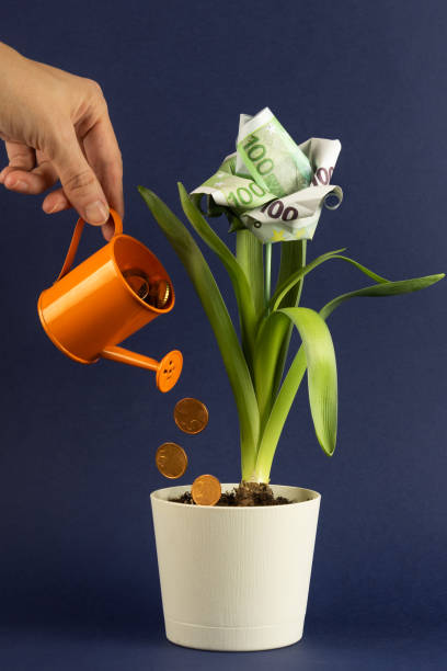 istock Concept of money is growing 1214529671