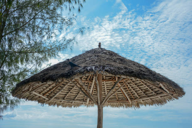 istock Umbrella from leaves, and cloudy sky on beach 1214537547