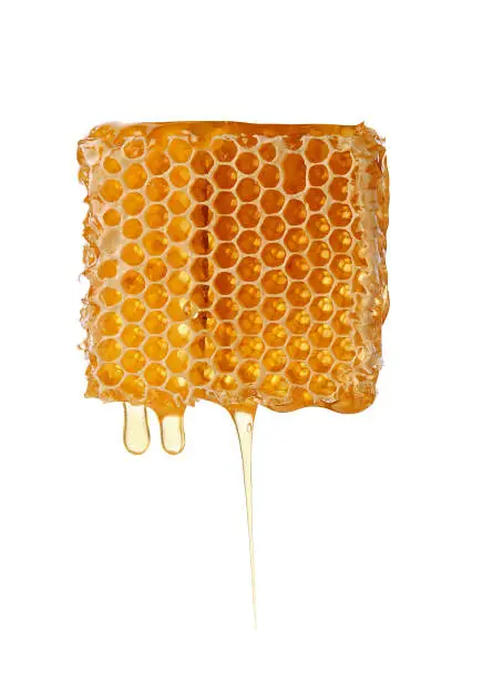 Honey honeycomb single piece with liquid honey drop isolated on white background