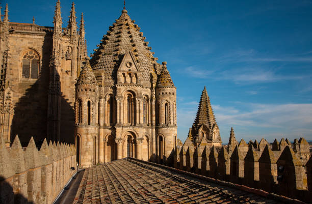 istock Rooster Tower. Salamanca 1214541585