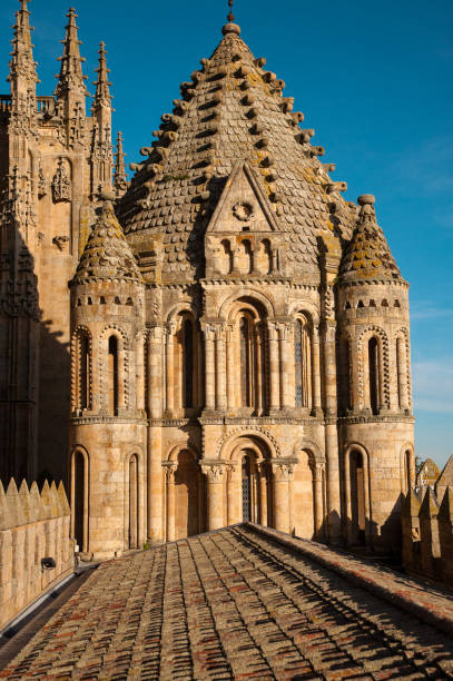 istock Rooster Tower. Salamanca 1214541603