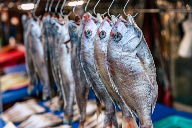 vendita di frutti di mare freschi nel mercato del pesce a busan, corea. - water lime foto e immagini stock