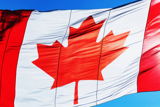 istock Canadian Flag 1214544883