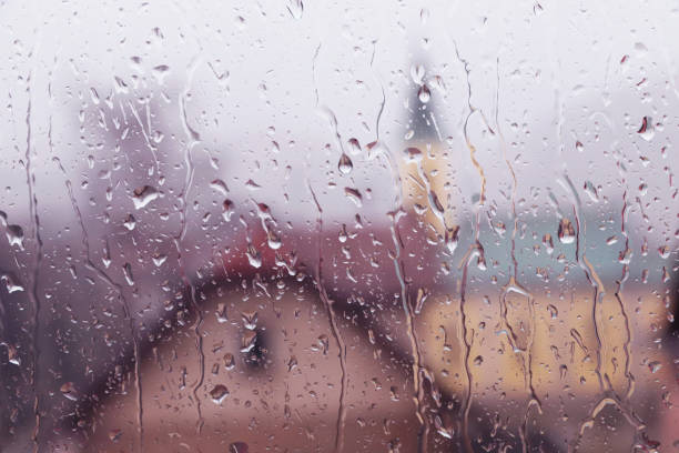 istock Stay home , save your life 1214545198