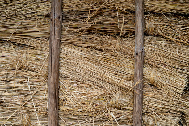 istock Wall made of straw. 1214546727