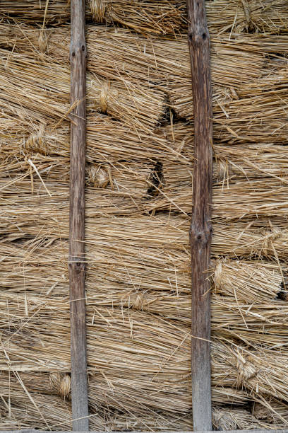 istock Wall made of straw. 1214546820