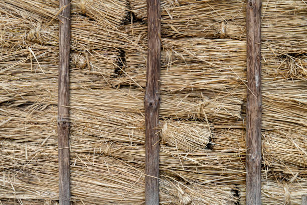 istock Wall made of straw. 1214546888