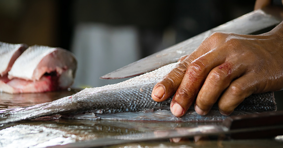 Close up hand slicing fresh fish.