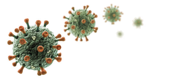 Viruses Isolated on White Illustration of Viruses Isolated on White Background. Microbiology And Virology Concept. viral infection photos stock pictures, royalty-free photos & images