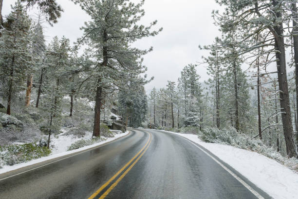 istock Sequoia National Park with fresh winter snowfall. 1214551732