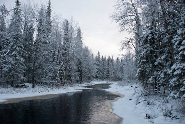istock Snowy river in a natural park in Finland 1214553301