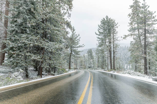 istock Snow covered winter road in Sequoia National Park, CA 1214553314