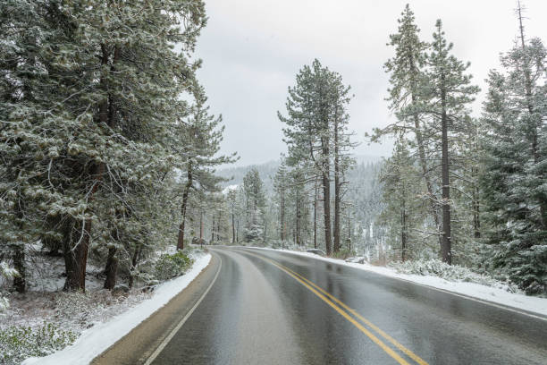 istock Snow covered winter road in Sequoia National Park, CA 1214553329