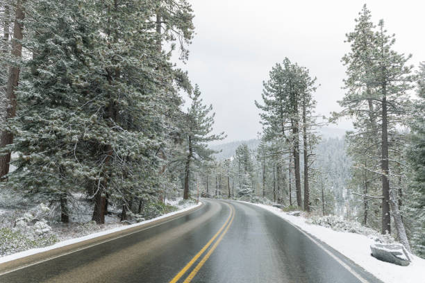 istock Snow covered winter road in Sequoia National Park, CA 1214553334