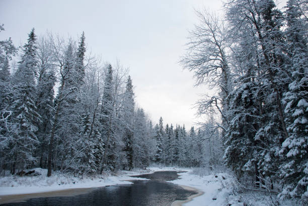 istock Snowy river in a natural park in Finland 1214553505