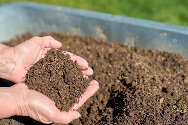 istock Two hands with fresh compost soil and a weelbarrow 1214555492