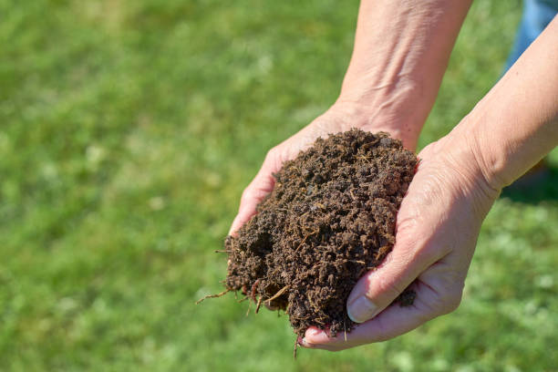 Two hands with fresh compost soil Fresh compost in two hands with a weelbarrow and a green meadow soil sample stock pictures, royalty-free photos & images