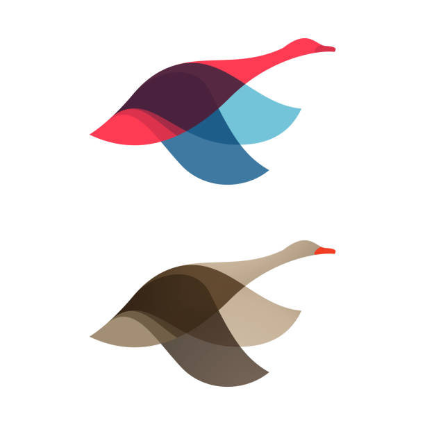 Goose, swan, bird logo vector character. Animal design elements for sport team branding, T-shirt, label, badge, card or illustration. goose bird stock illustrations