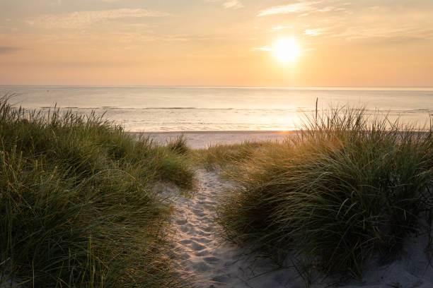 istock Beach landscape at sunset on Sylt island 1214559696