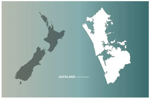 Vector illustration of Auckland City Line Map. Vector new Zealand map for graphic design source.