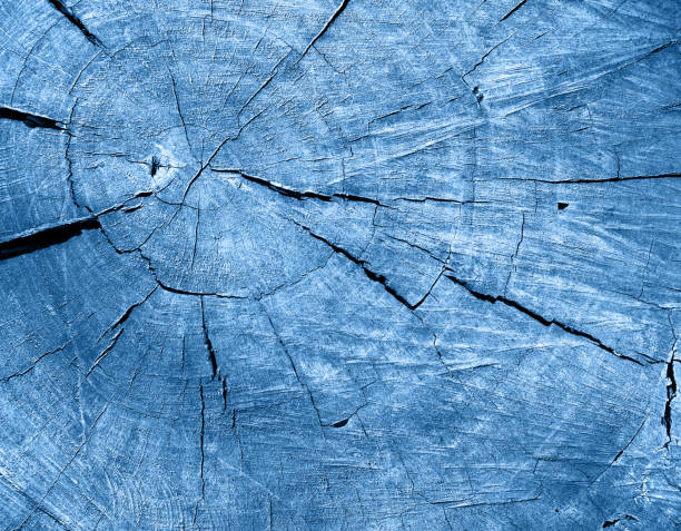 Blue Classic Painted Old Tree Stump Ring Wood Grain Wooden Texture Background Trendy Color of Year 2020 Natural Pattern for presentation, flyer, card, poster, brochure, banner