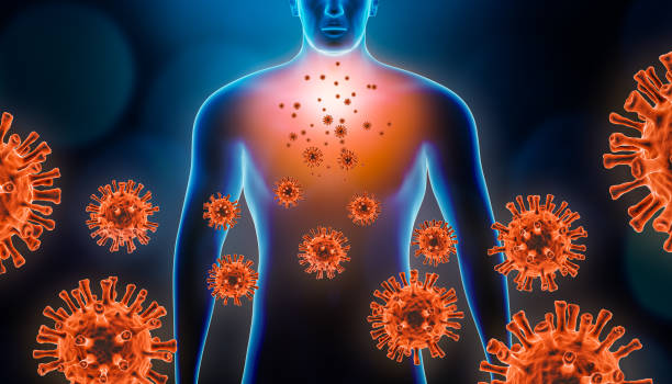 Viral pneumopathy 3d rendering illustration with red virus cells and human body. Coronavirus, covid 19, infectious and inflammatory respiratory disease as pneumonia or bronchitis concepts. stock photo