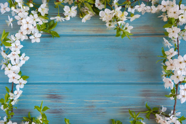 istock Spring frame for text. Banner design for spring promotion. White cherry flowers on a wooden background with a place for an inscription. Frame for text from fresh flowers. 1214563158