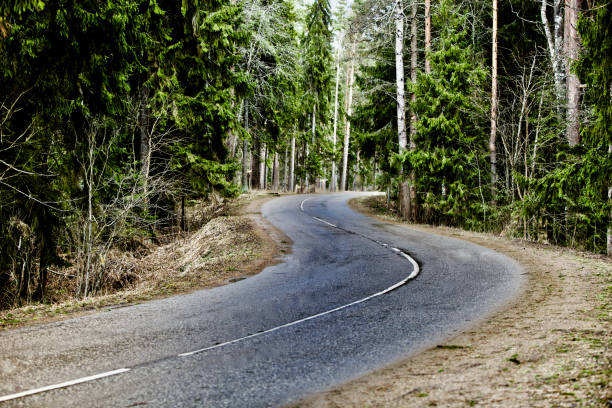 istock Empty asphalt road through the forest in bright sunny day 1214566328