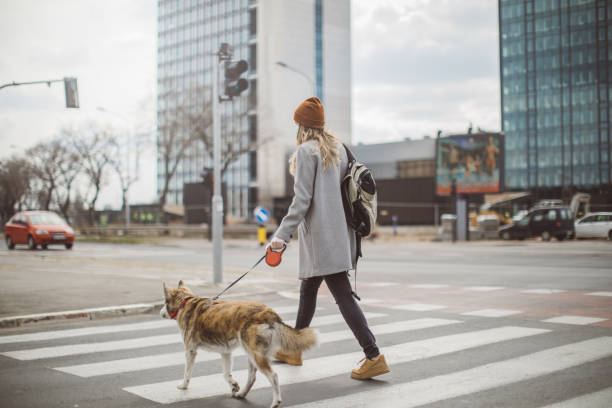 istock Newer alone when you have dog 1214566592