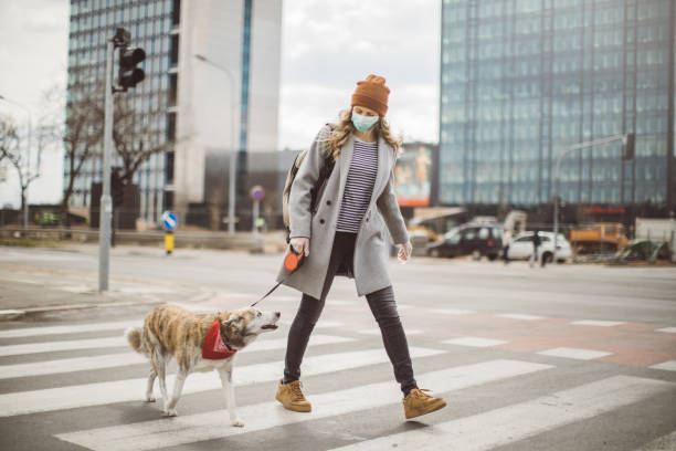 istock Newer alone when you have dog 1214566593