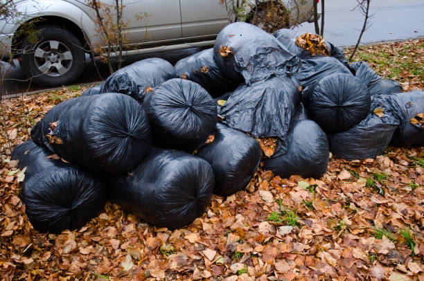 istock Black plastic garbage bags filled with fallen yellow leaves 1214566649