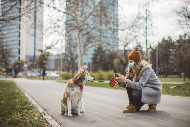 istock Newer alone when you have dog 1214566869