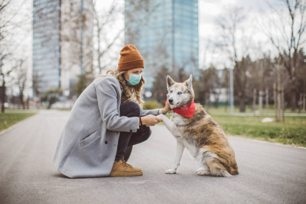 más nuevo solo cuando tienes perro - grave nature usa city life fotografías e imágenes de stock