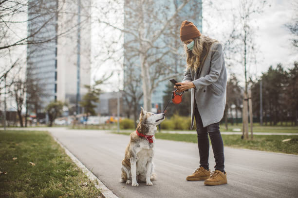 istock Newer alone when you have dog 1214566909