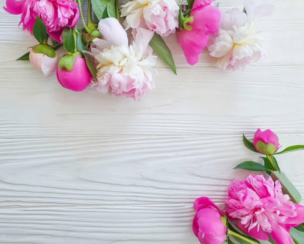 istock peony flower on frame wooden background 1214566910