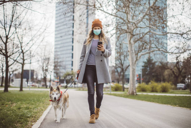 istock Newer alone when you have dog 1214566973