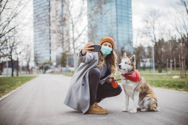 istock Newer alone when you have dog 1214566998