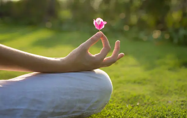 Close up of a female and doing the yoga lotus symbol holding a beautful flower with a green nature background.