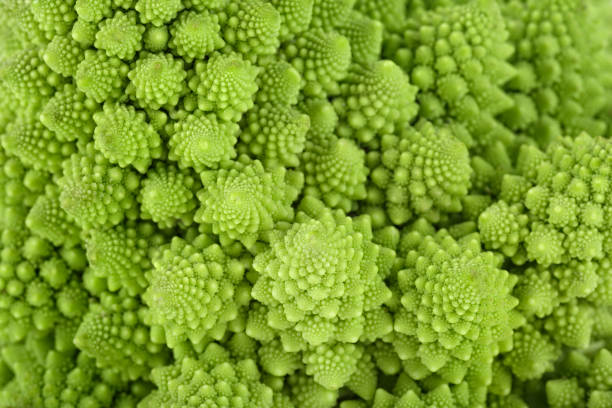 istock Roman cauliflower buds closeup. Cabbage romanesco background. 1214568077