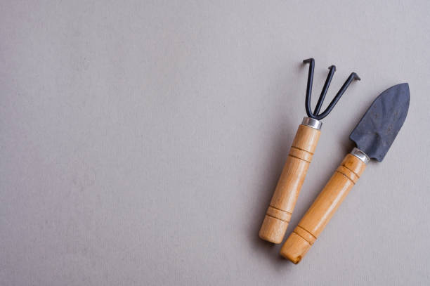 istock Tools for the garden on a gray background. Top view. Copy space. Flat lay 1214568464